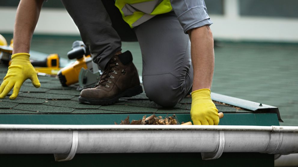 Gutter Cleaning